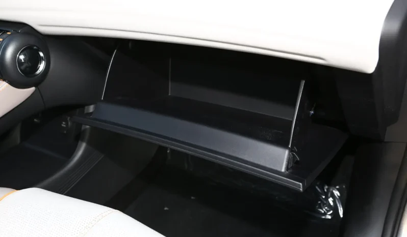 
								BYD ATTO 3 (Yuan PLUS) full									