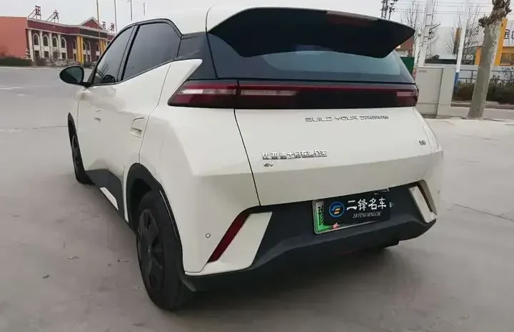 
								Seagull 2026 Honor Edition 305km Vitality Edition full									