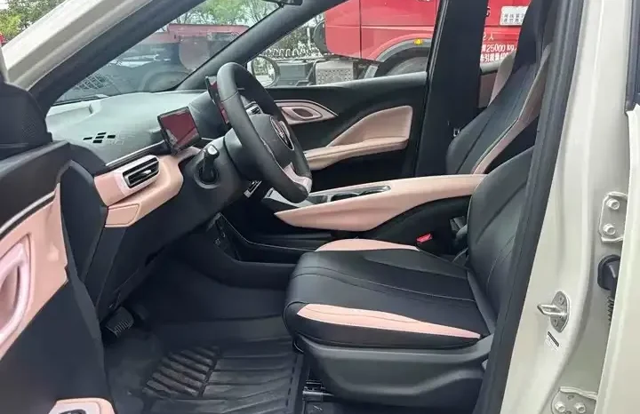 
								Seagull 2026 Smart Driving Edition 305km Vitality Edition full									