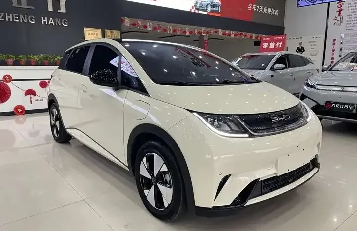 
								Dolphin 2026 420km fashion version full									