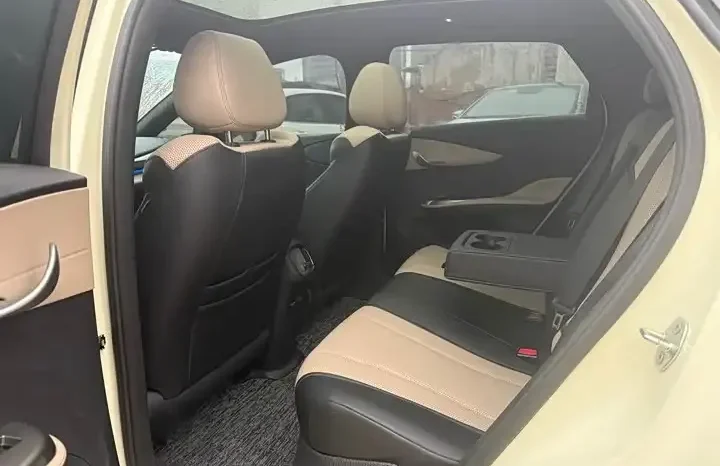 
								Dolphin 2026 smart driving version 410km fashion version full									