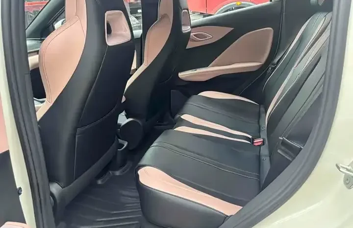 
								Seagull 2026 Smart Driving Edition 305km Vitality Edition full									