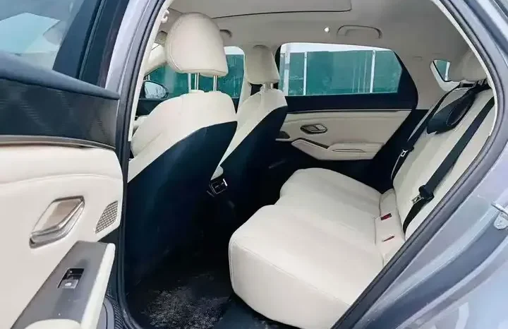 
								Qin L 2026 DM-i 120KM leading model full									