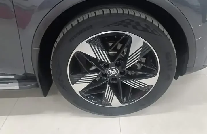 
								Tang New Energy 20236 DM-i Champion Edition 112KM Honor Type full									