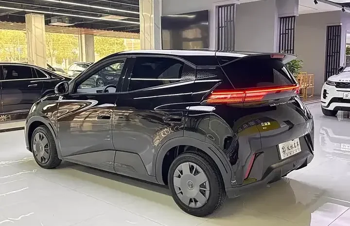 
								Seagull 2026 Honor Edition 305km Vitality Edition full									