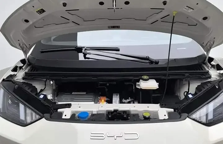 
								Seagull 2026 Vitality Edition full									