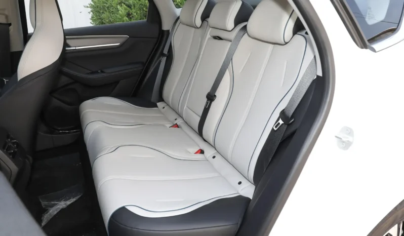 
								BYD Destroyer 05 full									