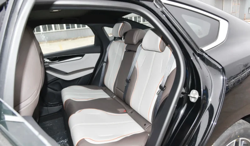 
								BYD Qin PLUS DM-i full									