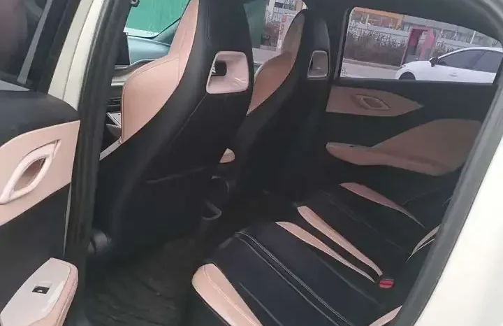 
								Seagull 2026 Honor Edition 305km Vitality Edition full									