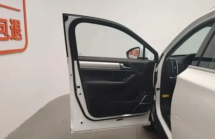 
								Tang 2026 2.0T automatic intelligent connected Zunyue type 7 seats, National V full									