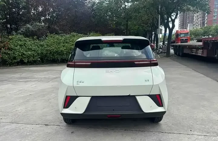 
								Seagull 2026 Smart Driving Edition 305km Vitality Edition full									