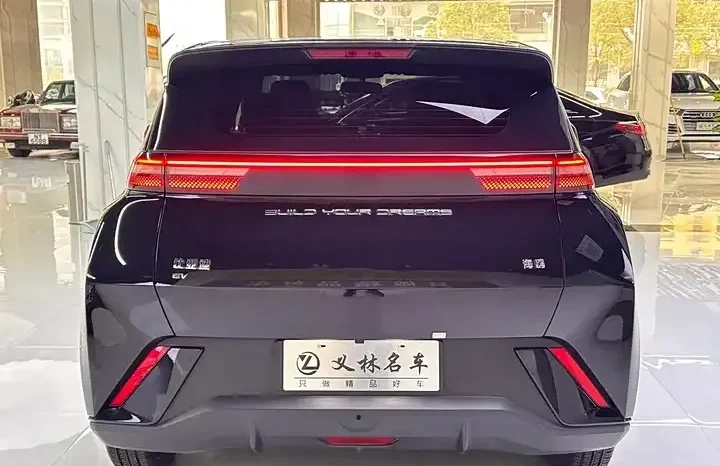 
								Seagull 2026 Honor Edition 305km Vitality Edition full									