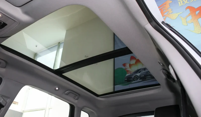 
								BYD Sea Lion 05 DM full									