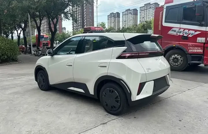 
								Seagull 2026 Smart Driving Edition 305km Vitality Edition full									