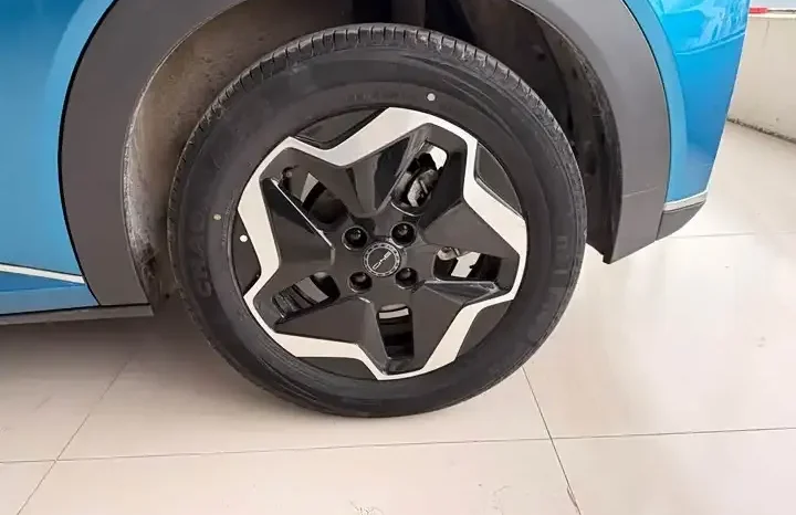 
								Dolphin 2026 405km fashion version full									