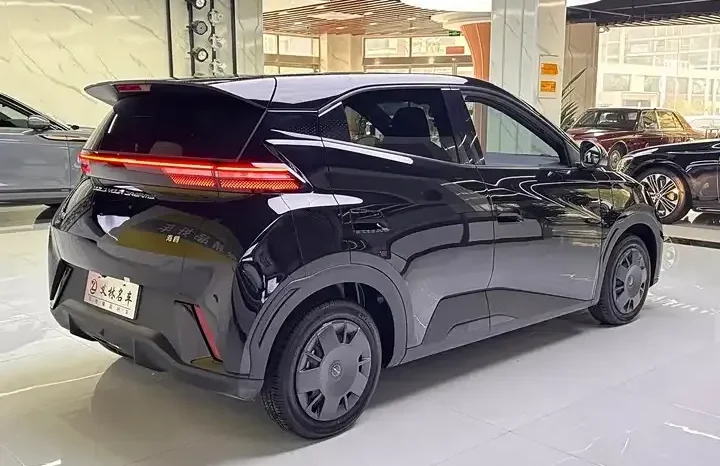 
								Seagull 2026 Honor Edition 305km Vitality Edition full									