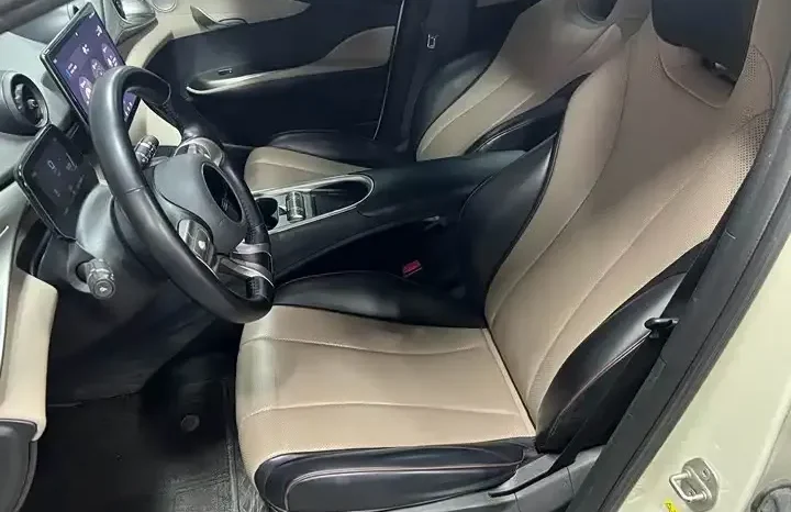 
								Dolphin 2026 Honor Edition 420km Free Edition full									