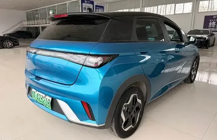 
								Dolphin 2026 405km fashion version full									