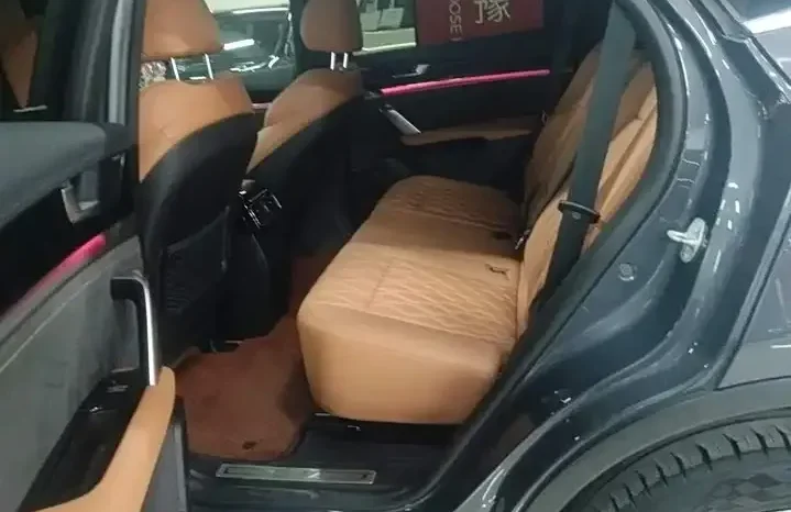 
								Tang New Energy 20236 DM-i Champion Edition 112KM Honor Type full									