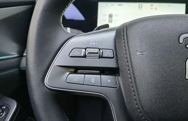 
								Song L DM-i 2026 smart driving version 160km excellent model full									