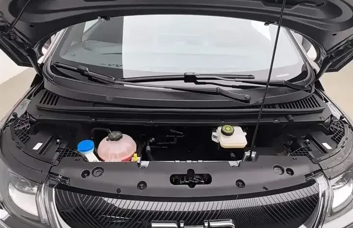 
								Dolphin 2026 420km free version full									