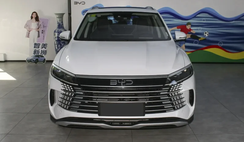 
								BYD Sea Lion 05 DM full									