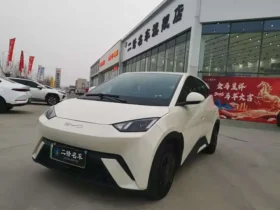 Seagull 2026 Honor Edition 305km Vitality Edition