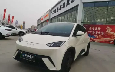 Seagull 2026 Honor Edition 305km Vitality Edition
