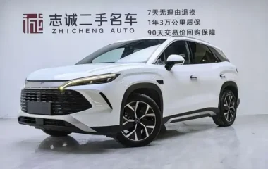 Song L DM-i 2026 smart driving version 160km transcendent type