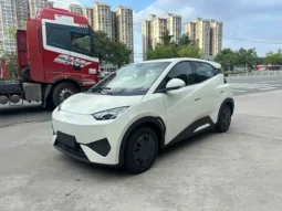 Seagull 2026 Smart Driving Edition 305km Vitality Edition