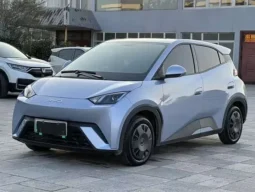 Seagull 2026 305km active version