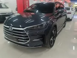 Tang New Energy 20236 DM-i Champion Edition 112KM Honor Type