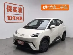 Seagull 2026 Vitality Edition