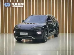 Song PLUS New Energy 2026 Champion Edition EV 605KM Flagship PLUS