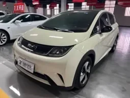 Dolphin 2026 Honor Edition 420km Free Edition