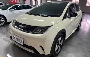 Dolphin 2026 Honor Edition 420km Free Edition
