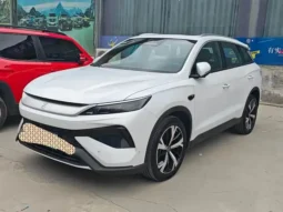 Song Pro New Energy 2026 second generation smart driving version DM-i 115KM excellent model