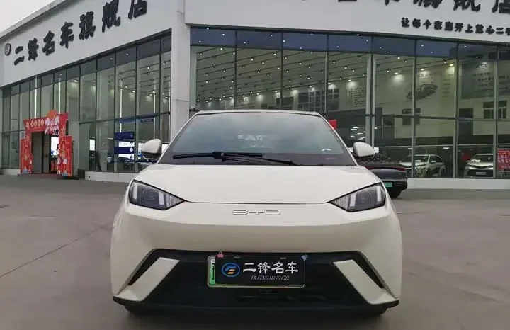 
								Seagull 2026 Honor Edition 305km Vitality Edition full									