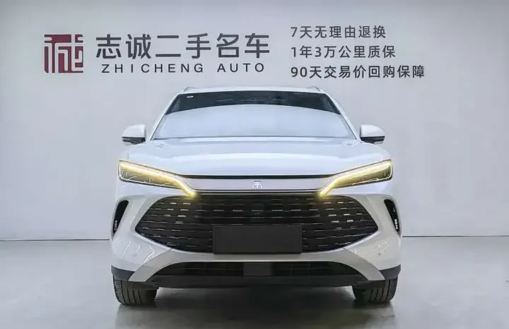 
								Song L DM-i 2026 smart driving version 160km transcendent type full									