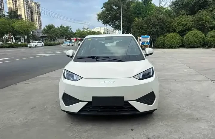 
								Seagull 2026 Smart Driving Edition 305km Vitality Edition full									