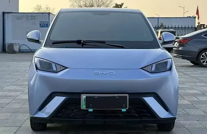 
								Seagull 2026 305km active version full									