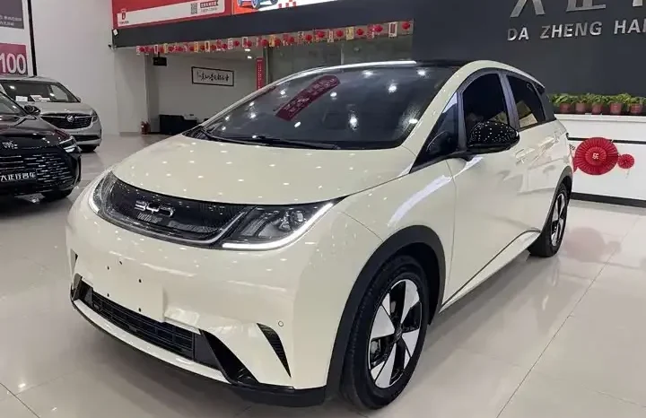 
								Dolphin 2026 420km fashion version full									