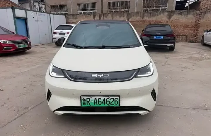 
								Dolphin 2026 smart driving version 410km fashion version full									