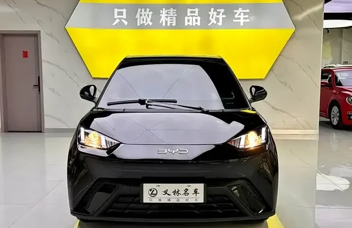 
								Seagull 2026 Honor Edition 305km Vitality Edition full									