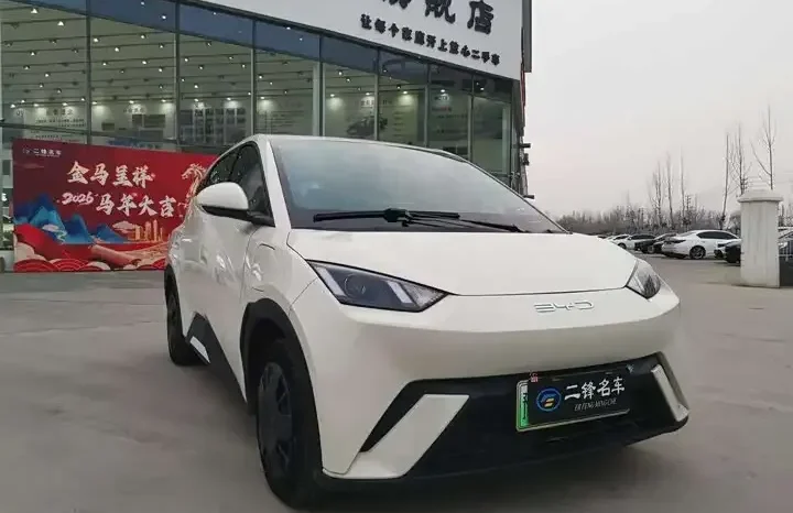 
								Seagull 2026 Honor Edition 305km Vitality Edition full									