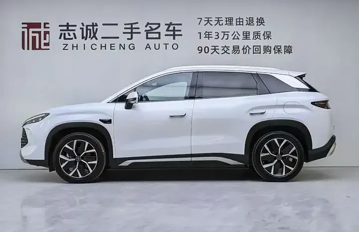 
								Song L DM-i 2026 smart driving version 160km transcendent type full									