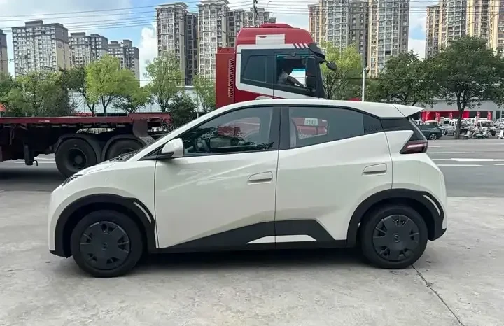 
								Seagull 2026 Smart Driving Edition 305km Vitality Edition full									