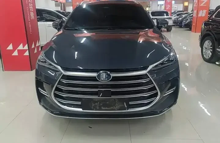 
								Tang New Energy 20236 DM-i Champion Edition 112KM Honor Type full									