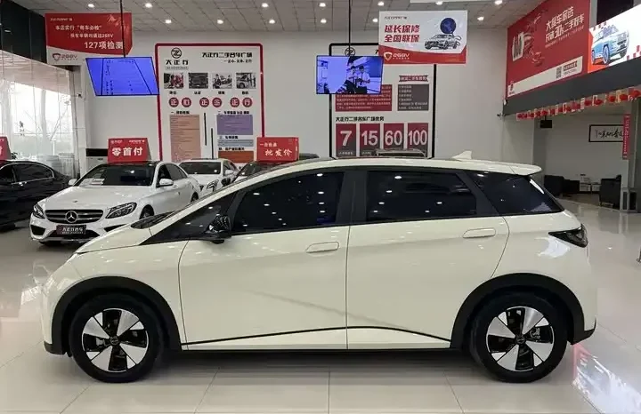 
								Dolphin 2026 420km fashion version full									