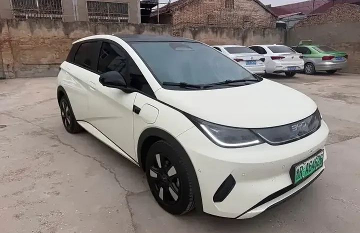 
								Dolphin 2026 smart driving version 410km fashion version full									